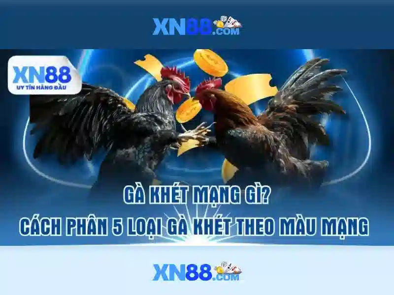 Tải App XN88