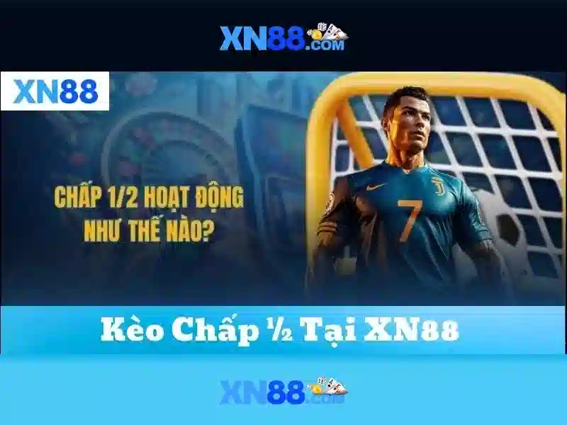 Giới Thiệu Về XN88