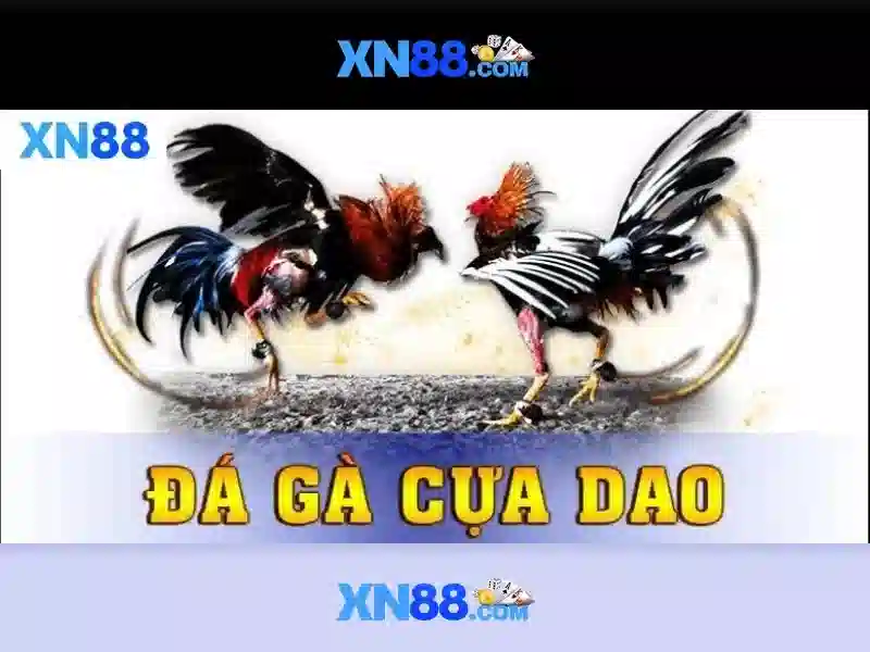 Cổng vào XN88 chính thức 2026