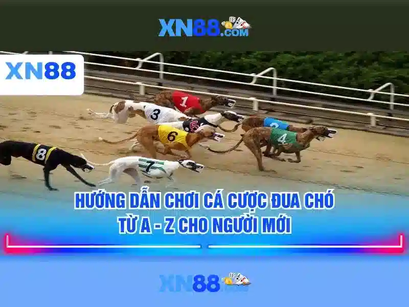 Các trò chơi slot tại XN88