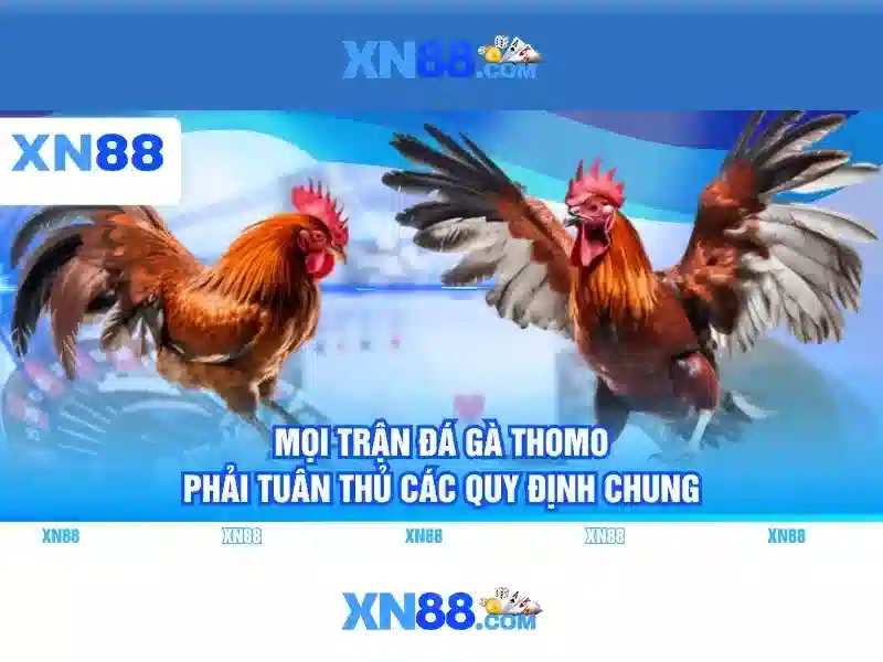 khuyến mãi xn88 slot – Chương Trình Ưu Đãi Độc Quyền