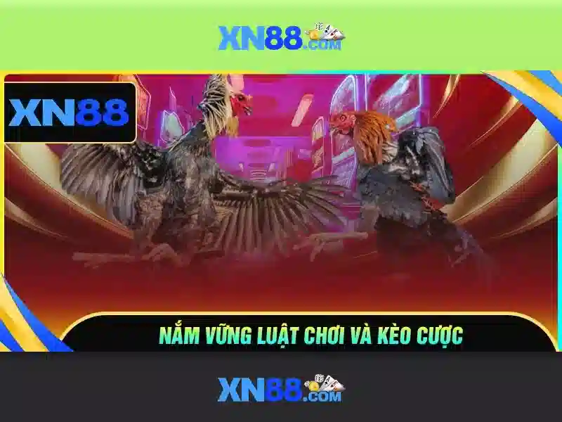 Ưu Điểm Nổi Bật Của XN88 Gaming