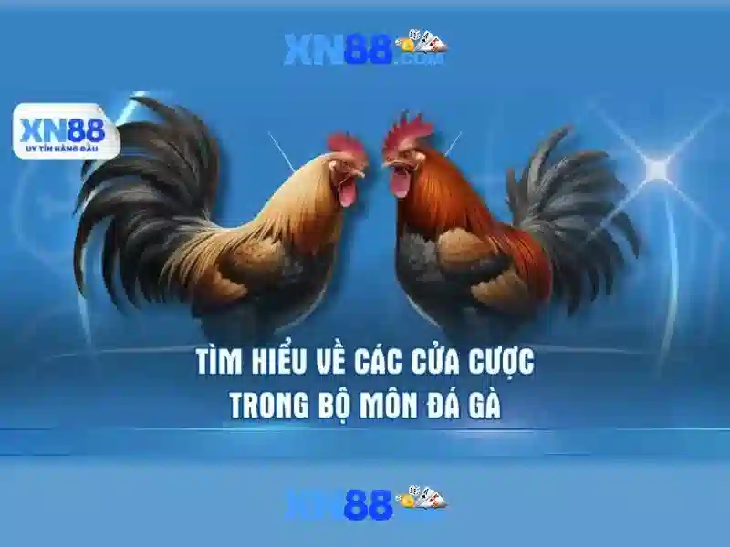 Trải nghiệm Slot tại XN88