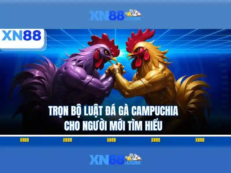 Trải Nghiệm Slot Đỉnh Cao Tại XN88