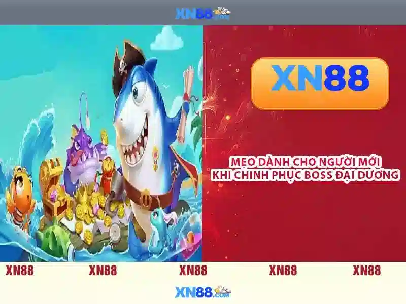 Tại Sao Nên Chọn XN88