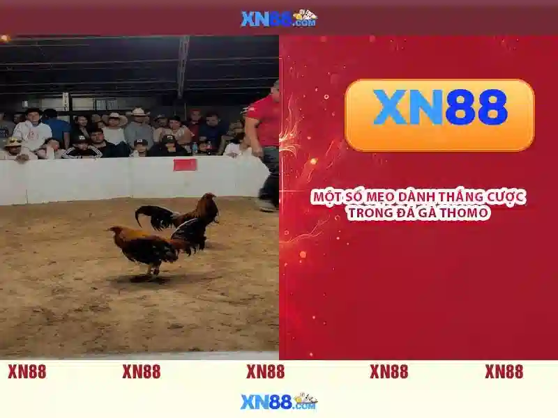 khuyến mãi XN88
