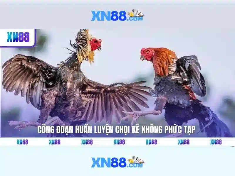 Hướng Dẫn Tải XN88