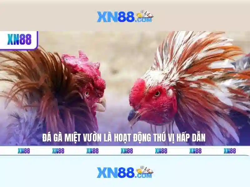 Chương Trình Khuyến Mãi Xổ Số