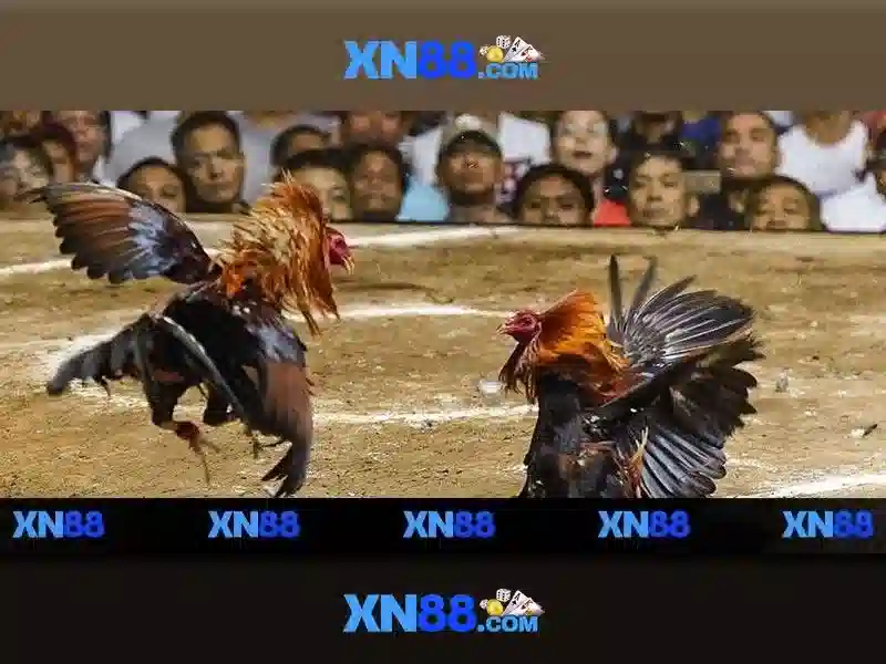XN88 – Trải Nghiệm Game Slot Độc Quyền Với XN88 Game 2026