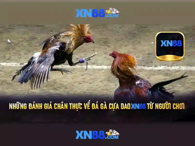 Quy Trình Tải XN88