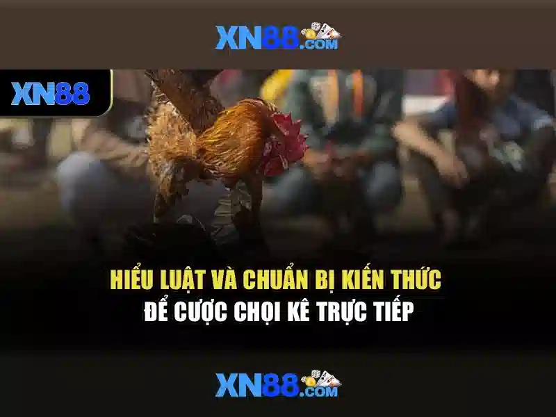 Ưu Điểm Nổi Bật Của XN88 App
