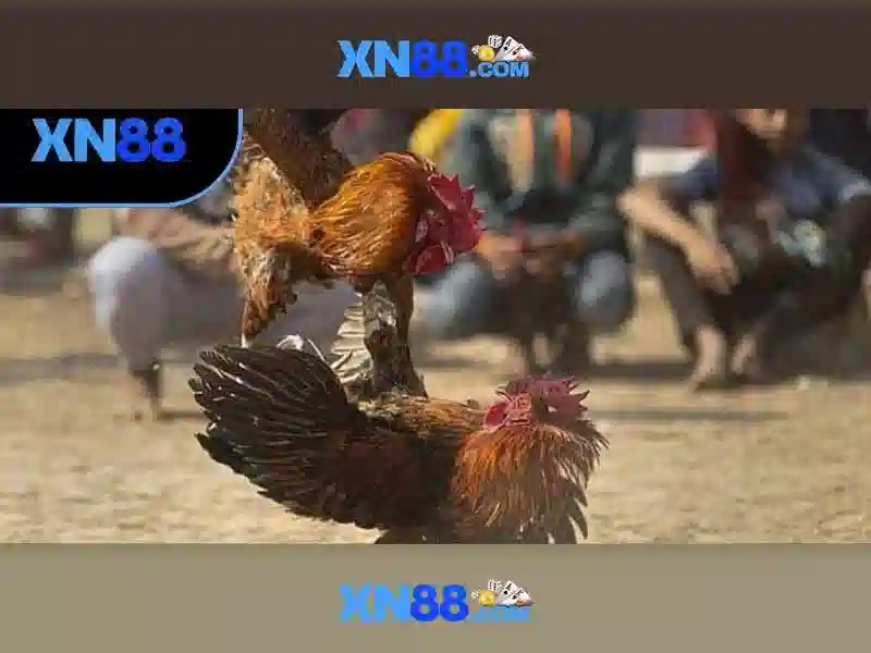Hệ Thống Xổ Số Đỉnh Cao