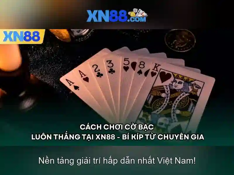 Trải nghiệm giải trí không giới hạn