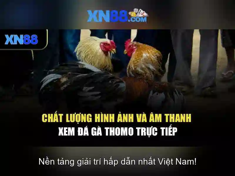 Hướng Dẫn Đăng Ký