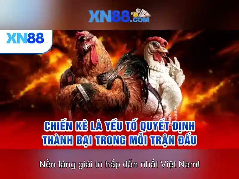 Cách Nhận Biết Nhà Cái Slot Uy Tín 2026