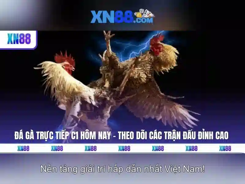Đánh giá uy tín của XN88 qua nhiều tiêu chí