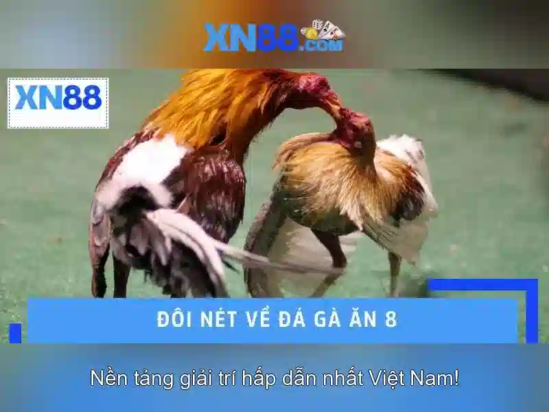 Trải nghiệm Slot An Toàn XN88