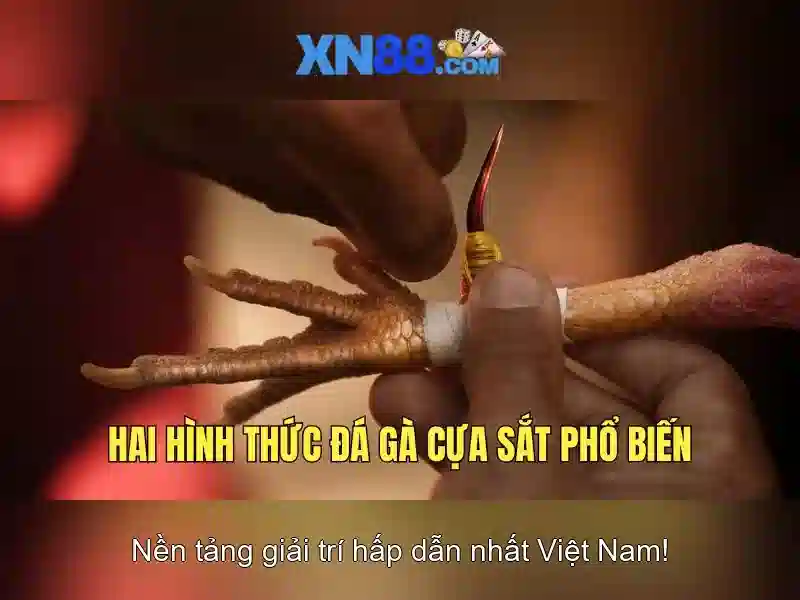 XN88 - Trải Nghiệm Cá Cược Slot Thú Vị Nhận Thưởng Hấp Dẫn - Copyright © 2026