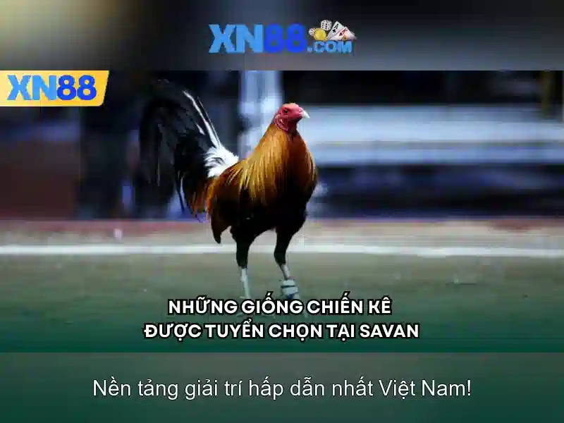 Trải Nghiệm Slot Trên XN88