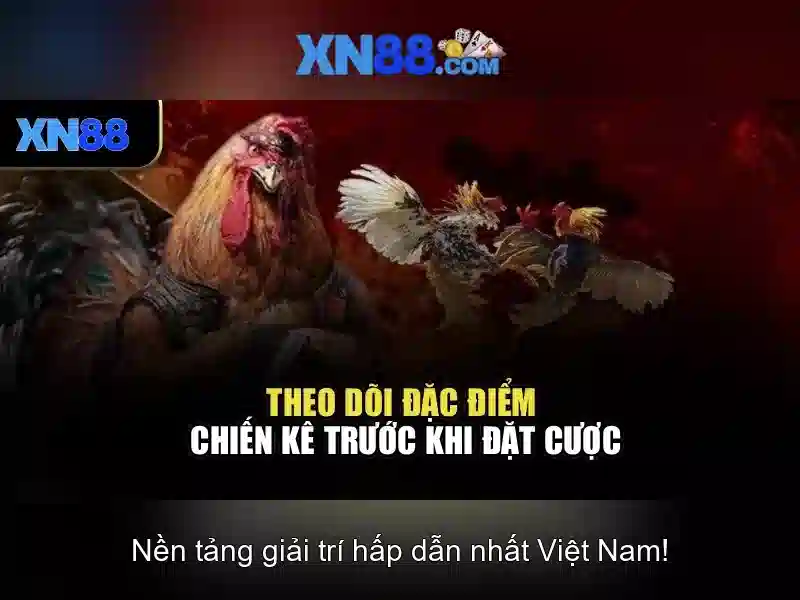 Tính Năng Đột Phá Của App XN88