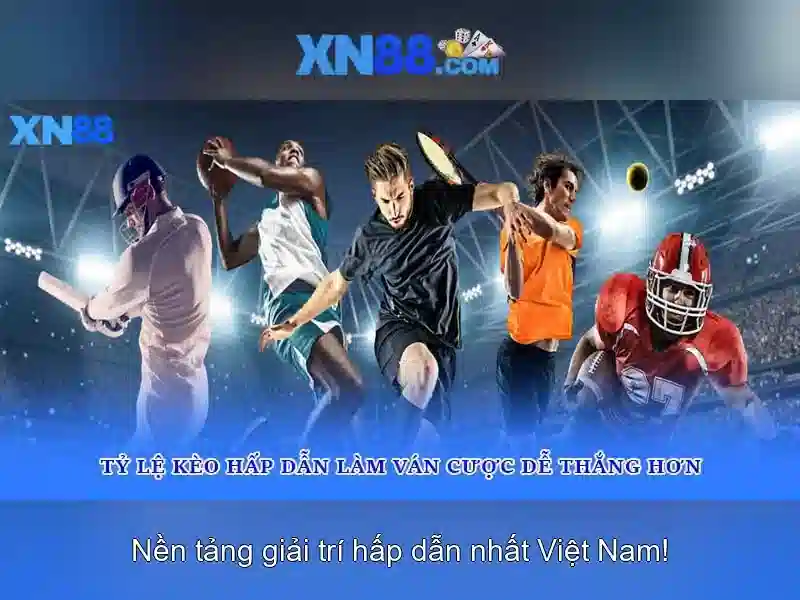 Hướng Dẫn Sử Dụng BSHRF