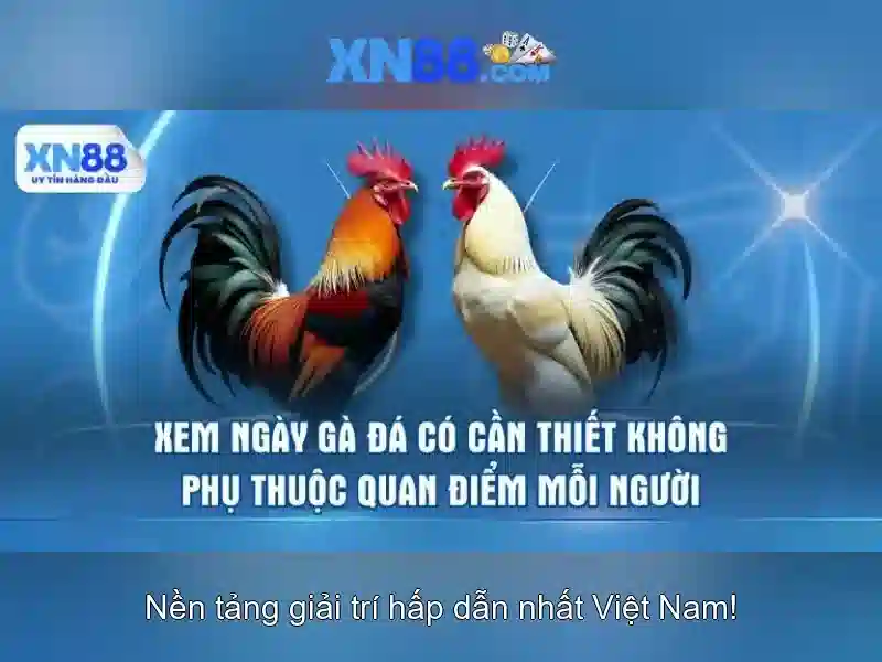Hướng dẫn đăng ký tài khoản XN88