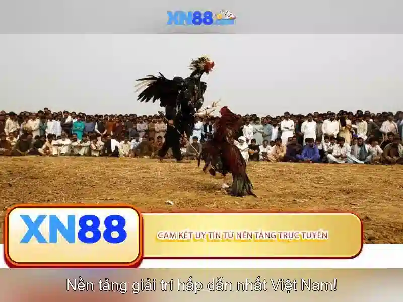 Ưu Điểm Nổi Bật Của XN88 App