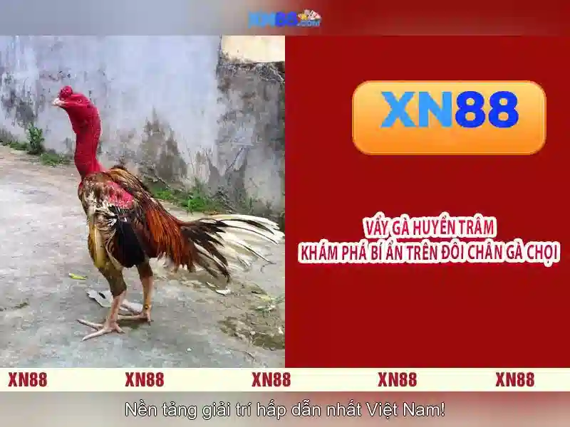 XN88 – Link Vào Trang Chủ XN88 Chính Thức Không Bị Chặn 2026