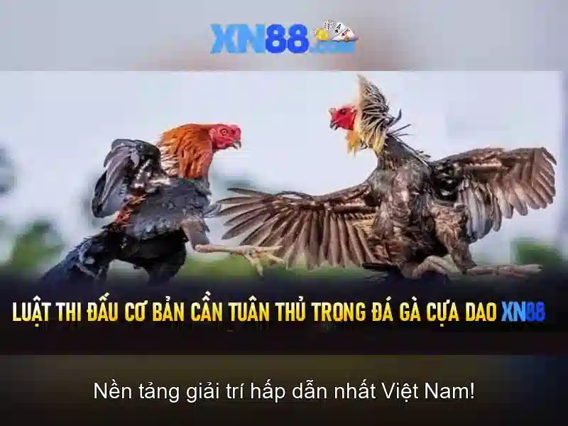 Tính năng nổi bật của XN88
